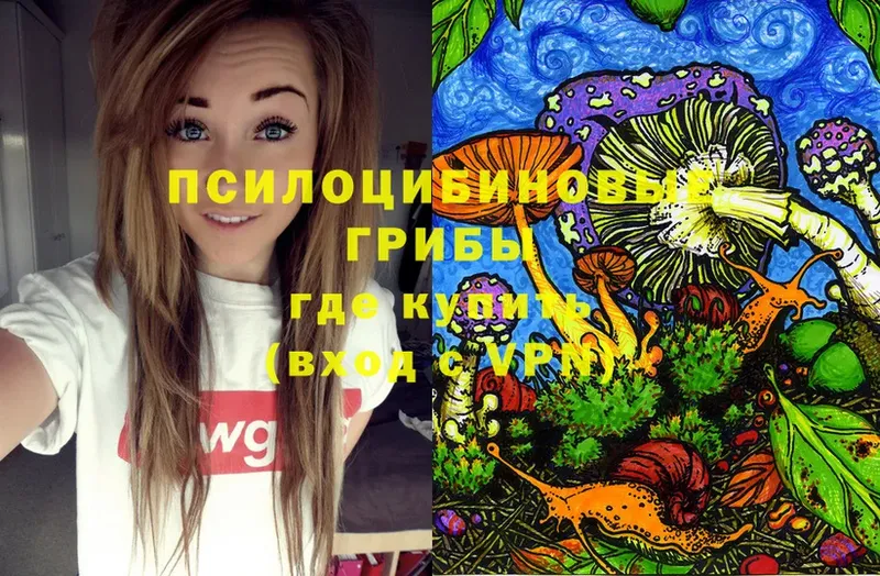 Псилоцибиновые грибы Magic Shrooms  где купить наркоту  Армавир 